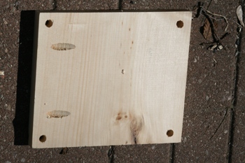 Floor of bird house