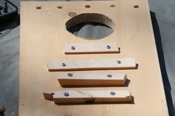 Inside a screech owl box