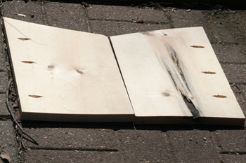 Sides of bird house