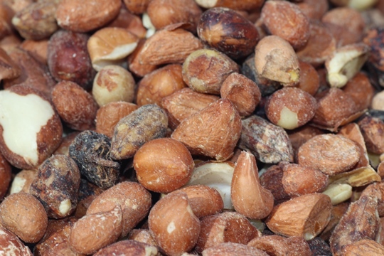 Peanuts as bird food.