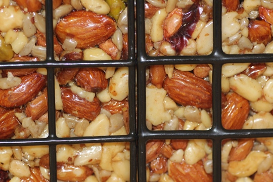 Tree nuts are excellent for birds